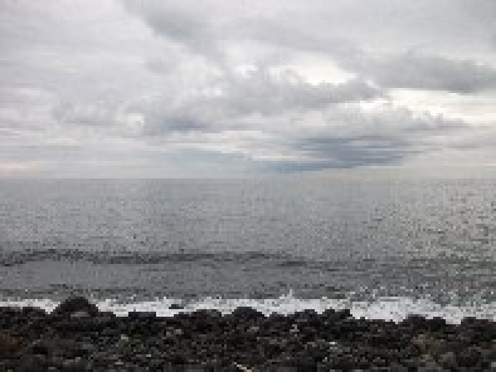 aiola-20101226 009